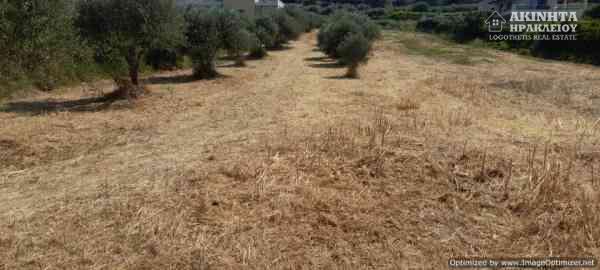 εικόνα_Viber_2025-06-12_12-31-59-568.jpg